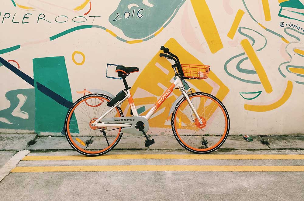 autumn studio zv3ckjkftc4 unsplash